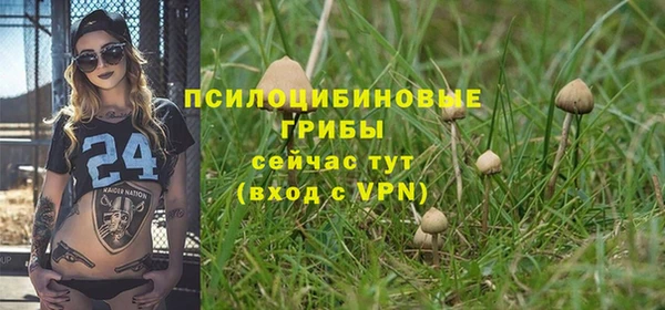 герыч Арсеньев