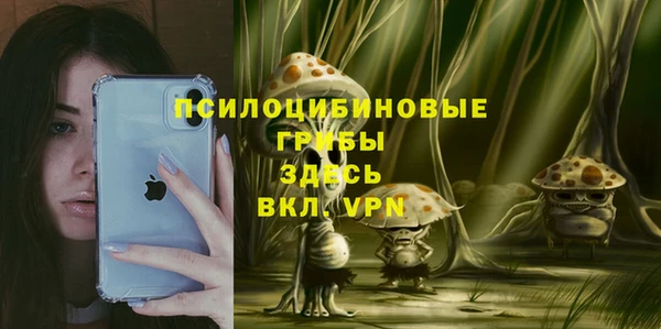 прущая мука Аркадак