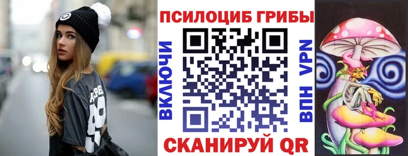 Псилоцибиновые грибы Psilocybine cubensis  Баксан 